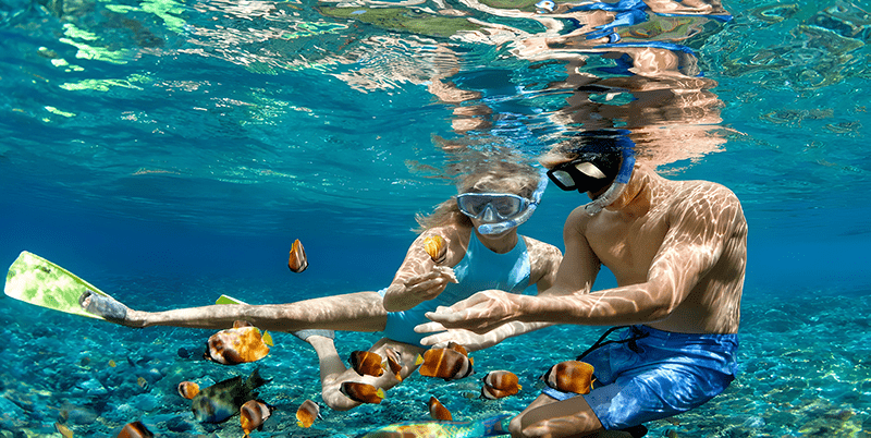 Crystal-Bay-Snorkeling.png