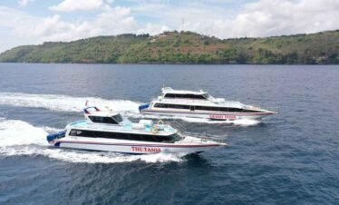 Tanis Fast Cruise