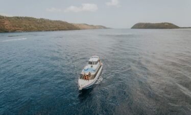Starfish Fast Cruise