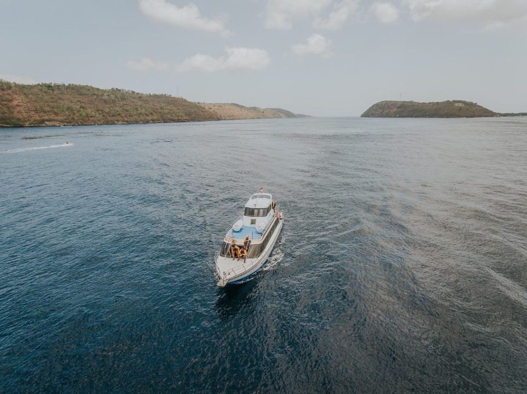 Starfish Fast Cruise