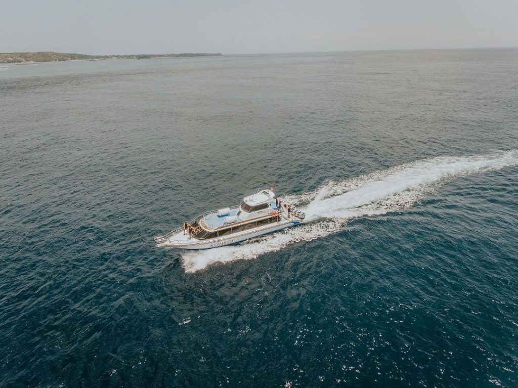 Starfish Fast Cruise