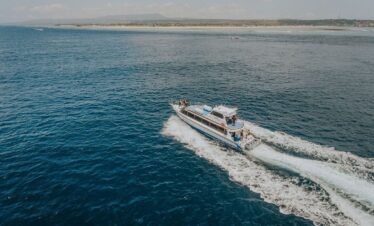 Starfish Fast Cruise