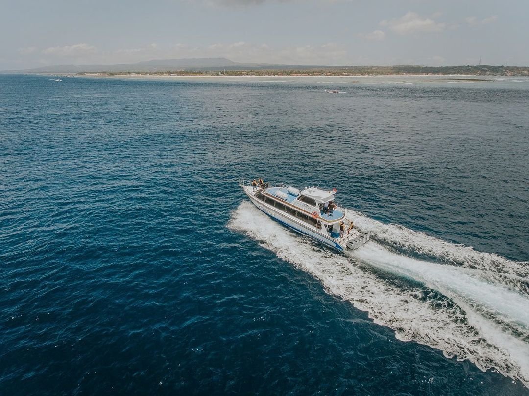 Starfish Fast Cruise