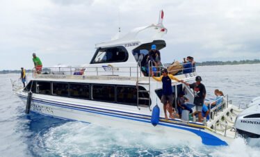 Starfish Fast Cruise