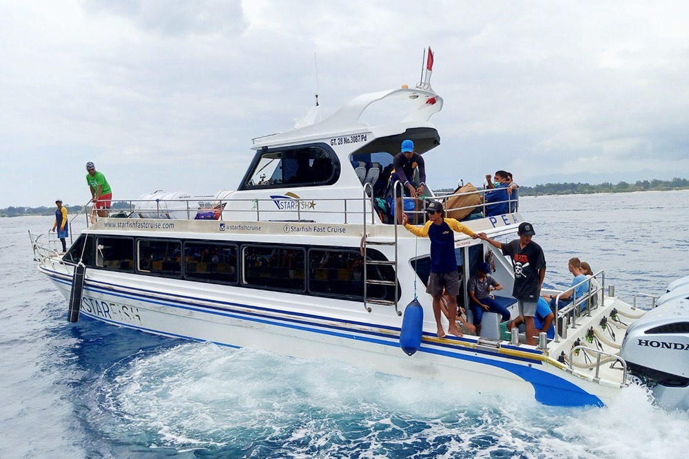 Starfish Fast Cruise